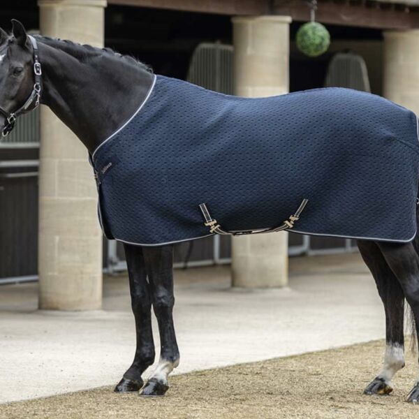 Customers Own Garment Horse Travel Rug Thumbnail
